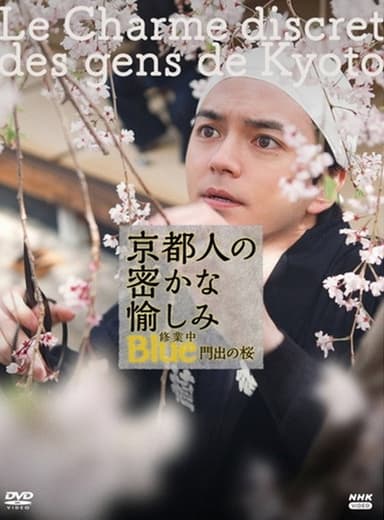 京都人の密かな愉しみBlue修業中 門出の桜