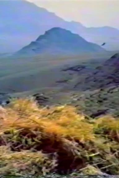 Think of the Kind Mountain