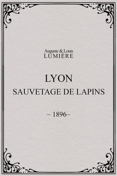 Lyon: Rabbit Rescue