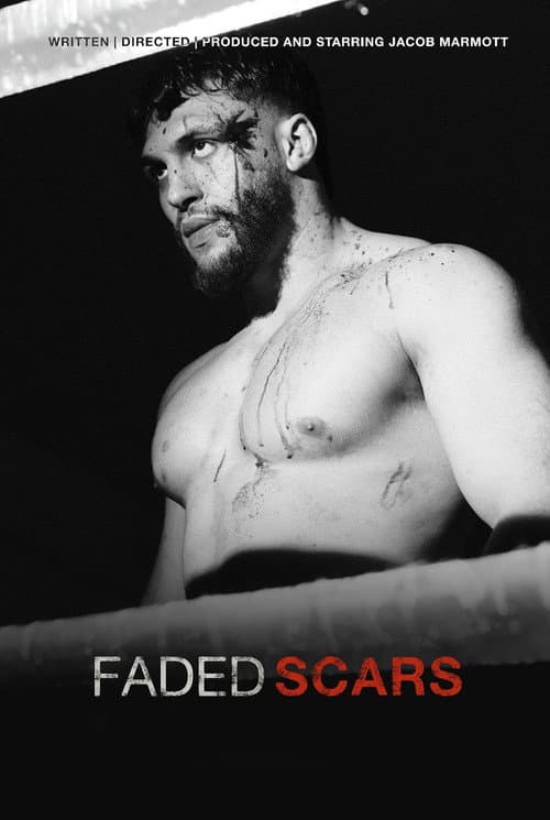 Faded Scars