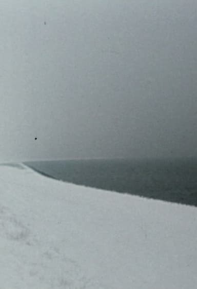 Zufalls-Horizonte