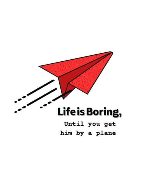 Life is Boring, Until you get hit by a plane