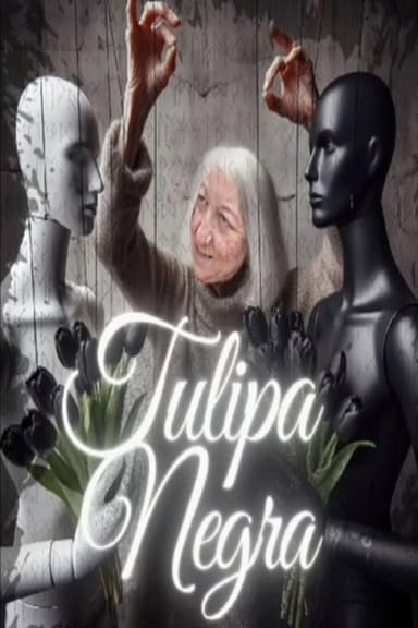 Tulipa Negra