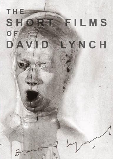 The Short Films of David Lynch