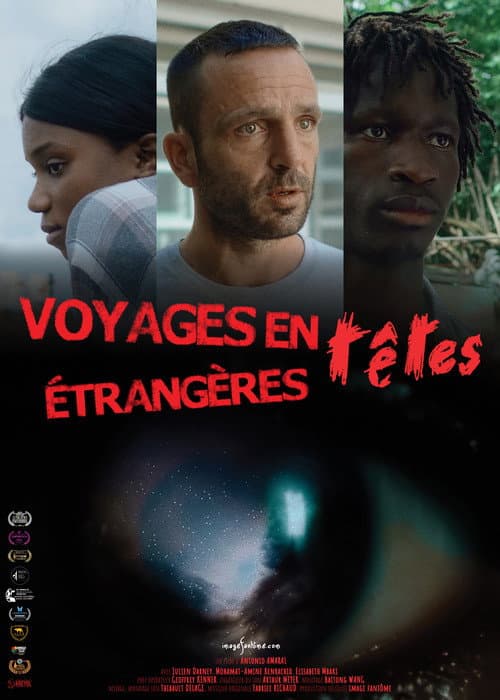 Travels Inside Foreign Heads