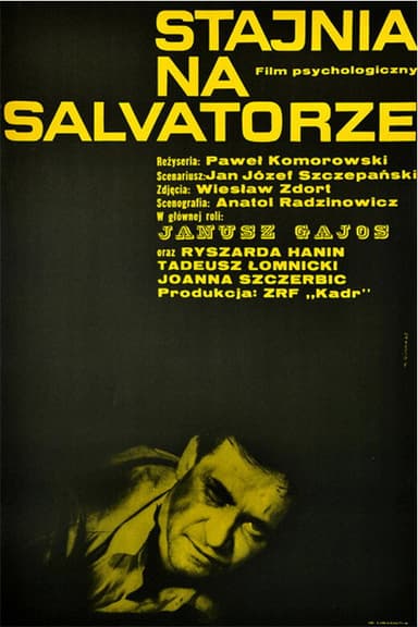 Stajnia na Salvatorze