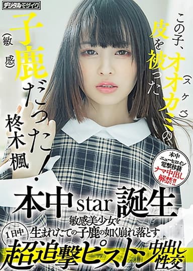 この子、オオカミ(スケベ)の皮を被った子鹿（敏感）だった！ 本中star誕生 敏感美少女を生まれたての子鹿の如く崩れ落とす1日中超追撃ピストン中出し性交
