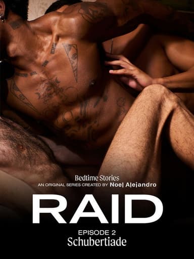 Bedtime Stories: RAID 2 - Schubertiade