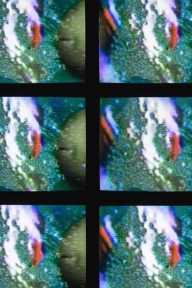 Matrix II