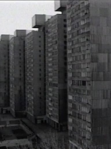 From My Window