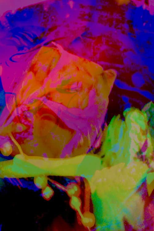 Hannah's Psycho-delic Adventure