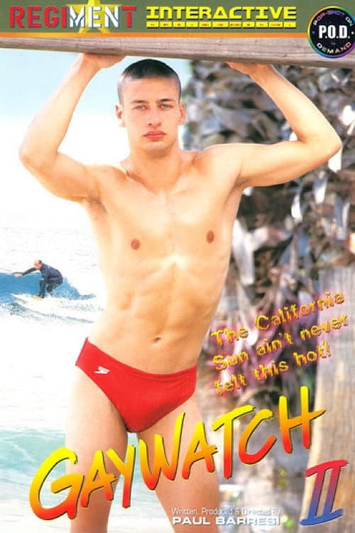 Gaywatch 2
