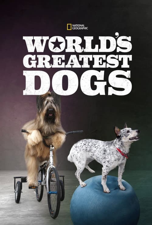 World's Greatest Dogs