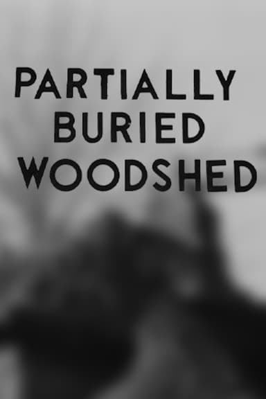 Partially Buried Woodshed