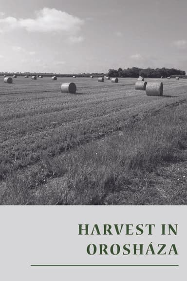 Harvest in Orosháza