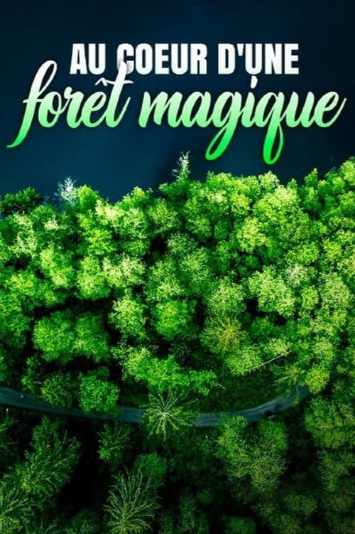 Au cœur d'une forêt magique