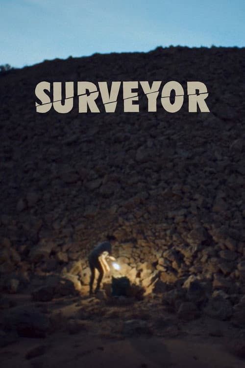 Surveyor