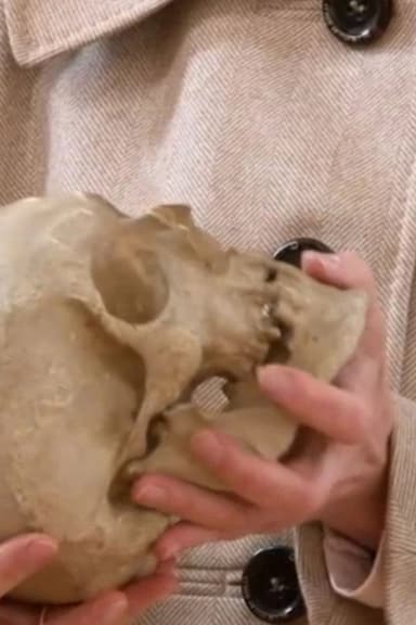 Leibnitz' Skull