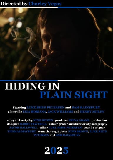 Hiding in Plain Sight