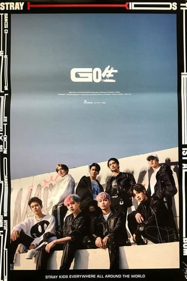 Stray Kids <ONLINE UNVEIL GO生>