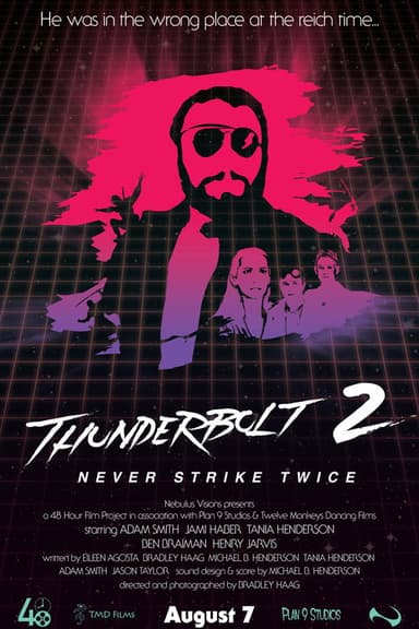 Thunderbolt 2: Never Strike Twice