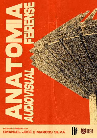 Anatomia Audiovisual Feirense