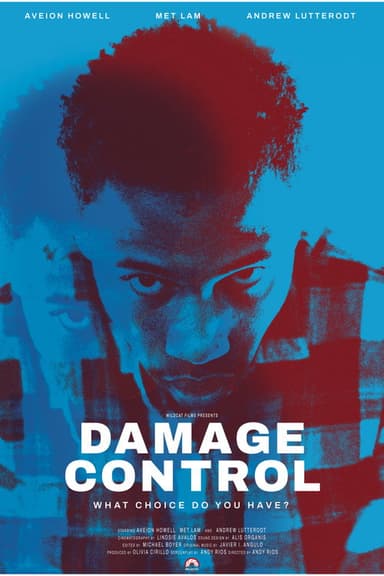 Damage Control