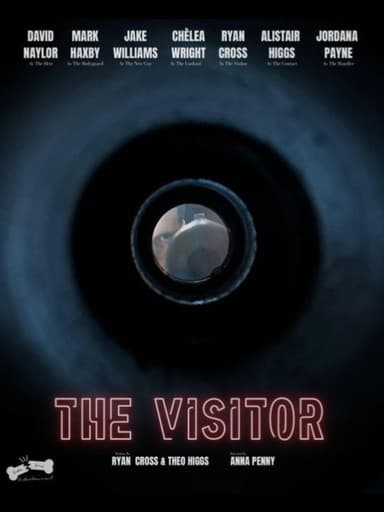 The Visitor