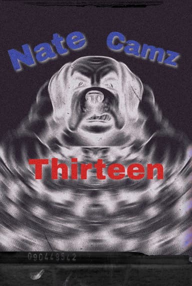 Natecamz 13