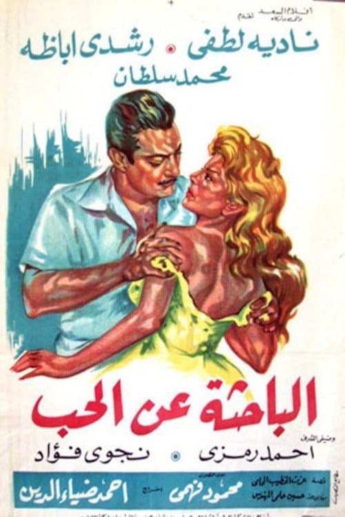 الباحثة عن الحب
