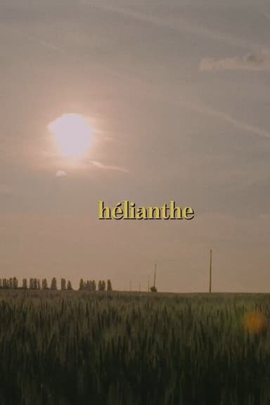 Hélianthe