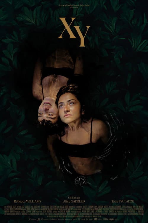 XY