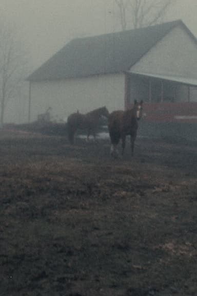 Horseflesh