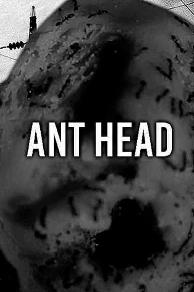 Ant Head