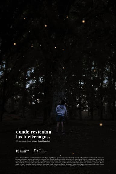 Where the fireflies burst