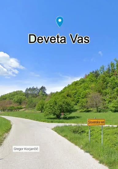 The Ninth Village