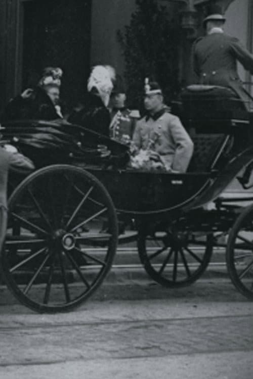 Intocht van hertog Hendrik van Mecklenburg en H.M. de koningin aan het Staatsspoor te 's-Gravenhage