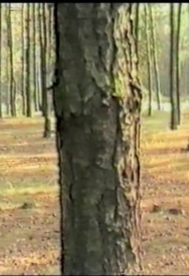 Dancing with Trees