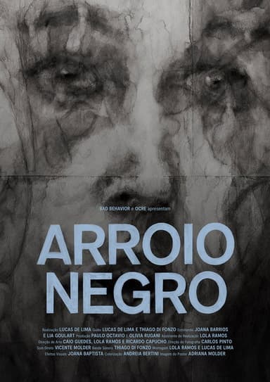 Arroio Negro