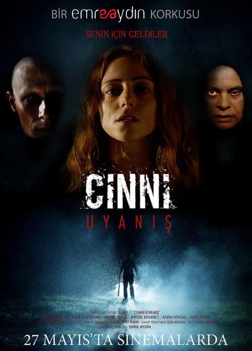 Cinni: Uyanış