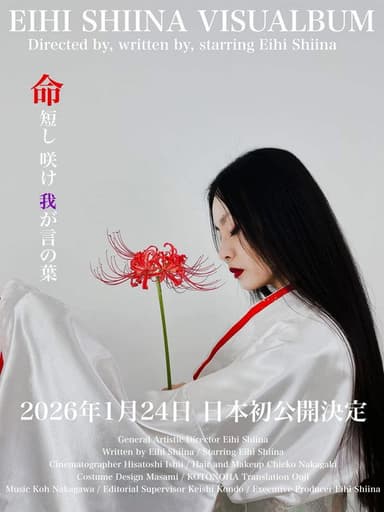 Eihi Shiina Visualbum