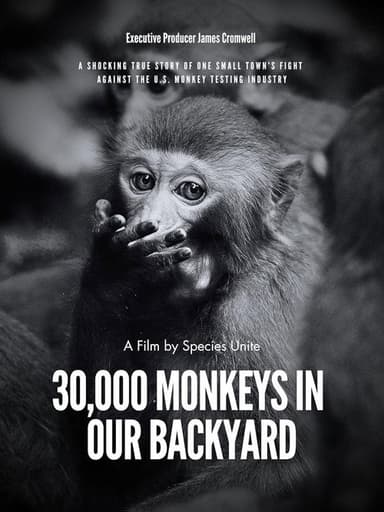 30,000 Monkeys in Our Backyard