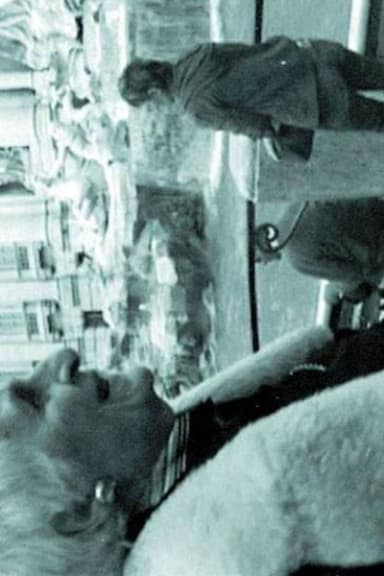 THE INTERPRETER OF BLACK AND WHITE FILMS