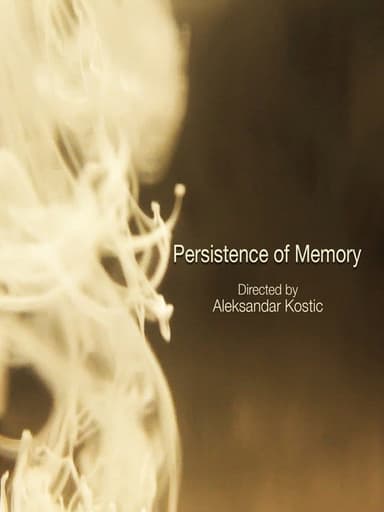 Persistence of Memory