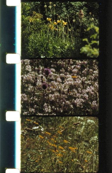 Bouquets 21-24