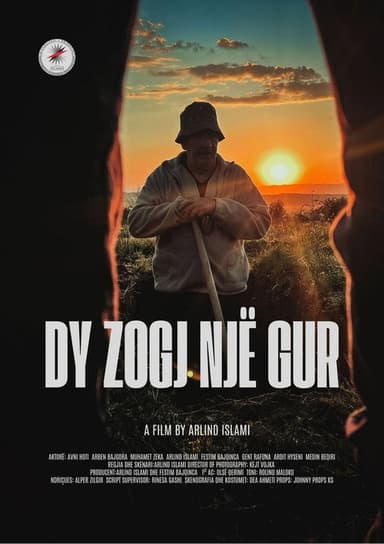 Dy zogj një gur
