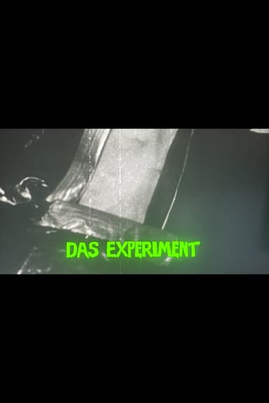 Das Experiment