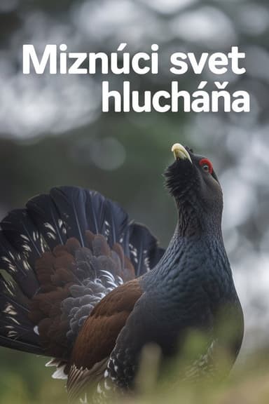 Disappearing World of the Capercaillie