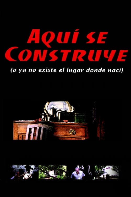 Under Construction (Or The Place Where I Was Born No Longer Exists)