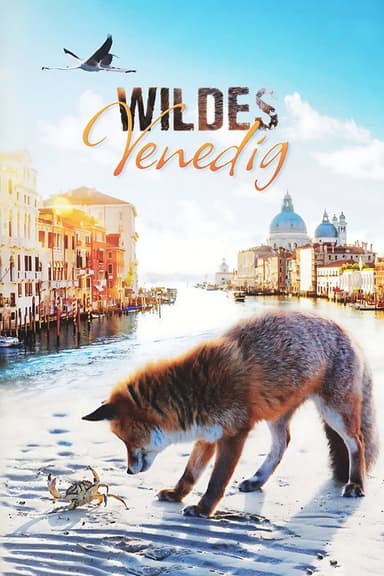 Wildes Venedig